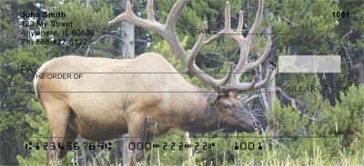 Elk In The Forest