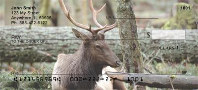 Resting Elk