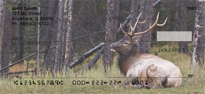 Resting Elk