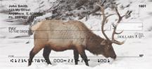 Winter Elk