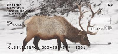 Winter Elk