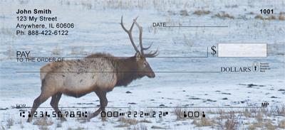 Winter Elk