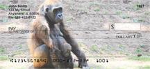 Gorilla Mother And Child