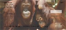 Orangutan Mother And Child