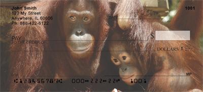 Orangutan Mother And Child