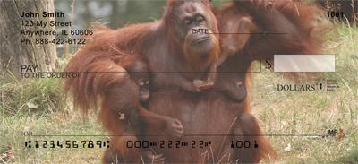 Orangutan Mother And Child