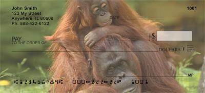 Orangutan Mother And Child