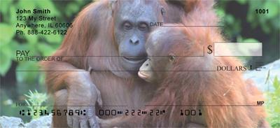 Orangutan Mother And Child