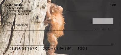 Baby Orangutan