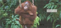 Orangutan In The Trees