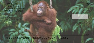 Orangutan In The Trees