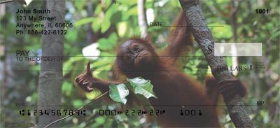 Orangutan In The Trees
