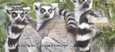 Ring-tailed Lemur Family