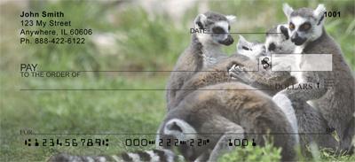 Ring-tailed Lemur Family