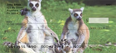 Ring-tailed Lemur Family