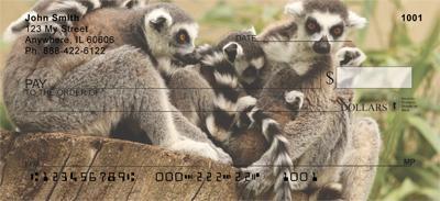 Ring-tailed Lemur Family