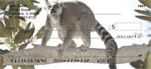 Perching Lemurs