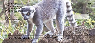 Perching Lemurs