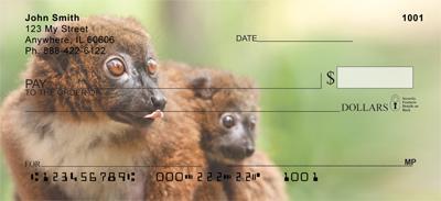 Red-bellied Lemurs