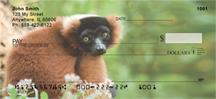 Red Ruffed Lemur