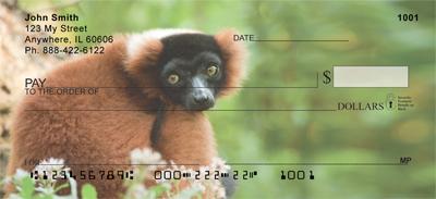 Red Ruffed Lemur