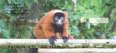 Red Ruffed Lemur