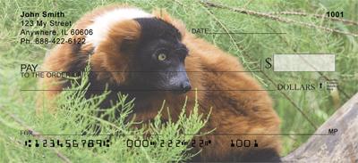 Red Ruffed Lemur