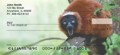 Red Ruffed Lemur