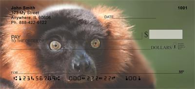 Curious Lemur