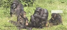 Chimpanzee Family