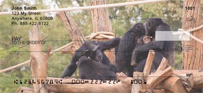 Chimpanzee Family