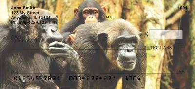 Chimpanzee Family