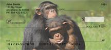 Chimp Couple