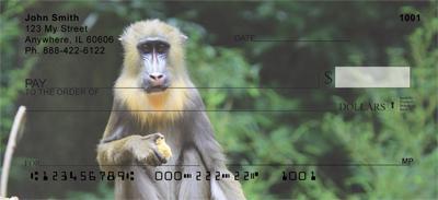 Mandrill Baboon