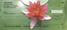 Lotus Pond