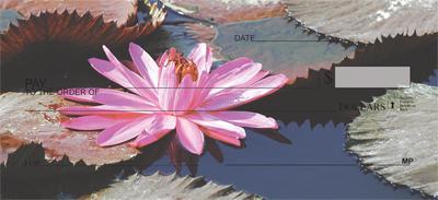 Lotus Pond