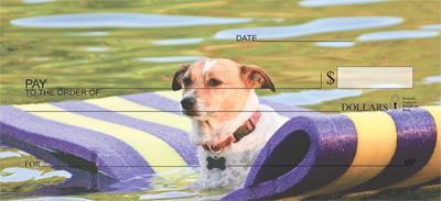 Cute Jack Russells
