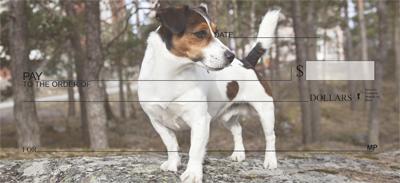 Loyal Jack Russells