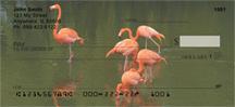 Flamingo Flurry