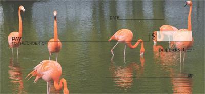 Flamingo Flurry