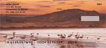 Sunset Flamingos