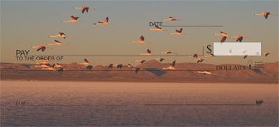 Sunset Flamingos