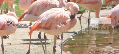 Pink Flamingos