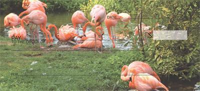 Pink Flamingos