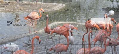 Pink Flamingos