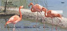 Lakeside Flamingos