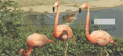 Lakeside Flamingos