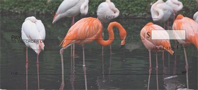 Lakeside Flamingos