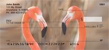 Elegant Flamingos