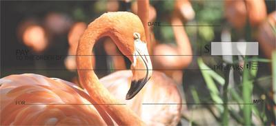 Elegant Flamingos